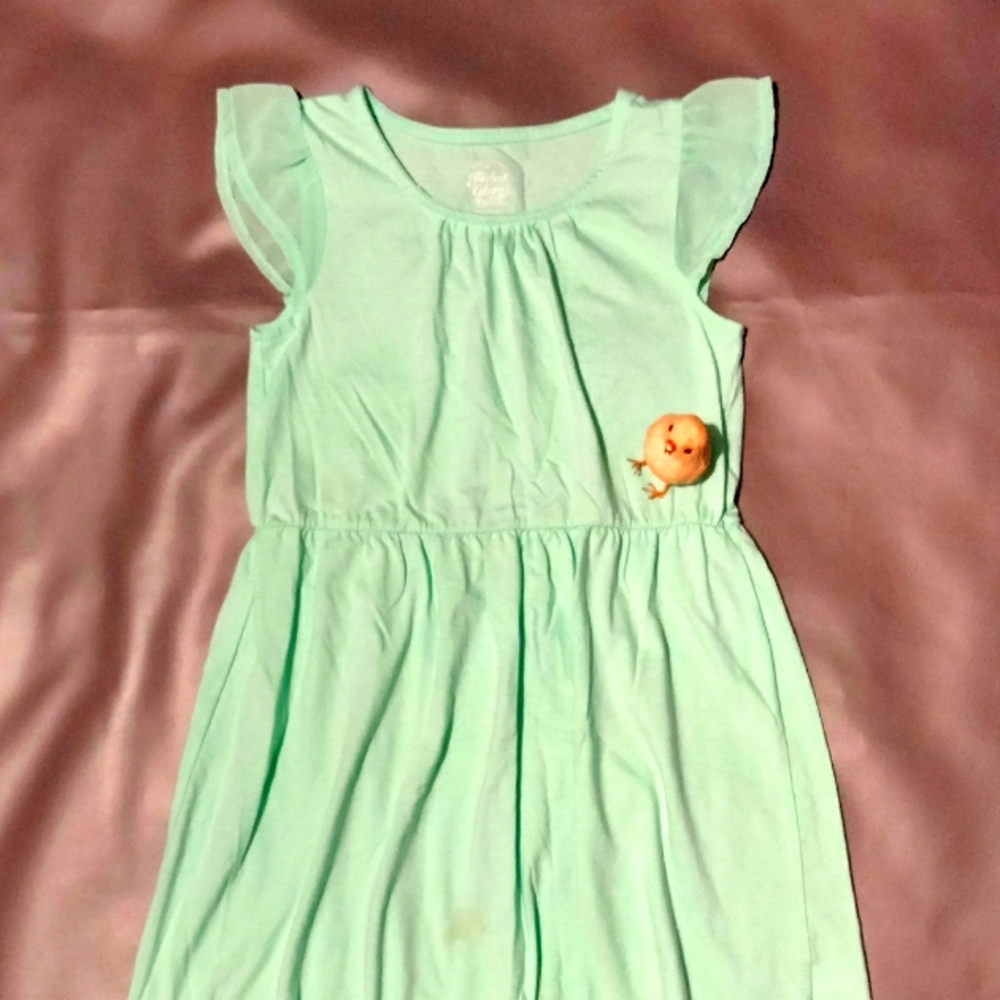 Faded Glory dress